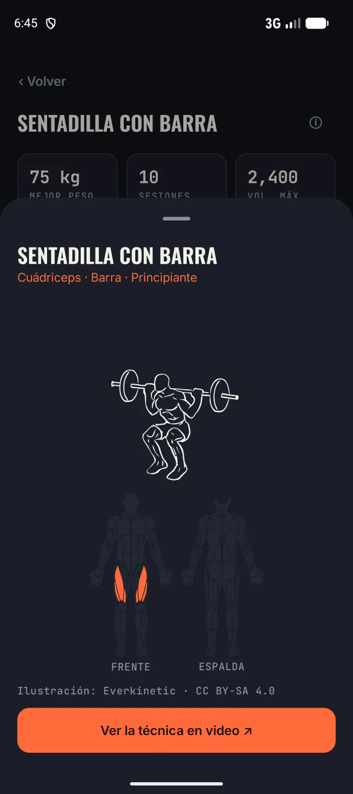 Ficha de sentadilla con barra: dibujo del movimiento y mapa muscular con los cuádriceps resaltados.